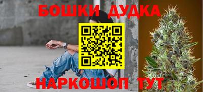 гидропоника Кунгур