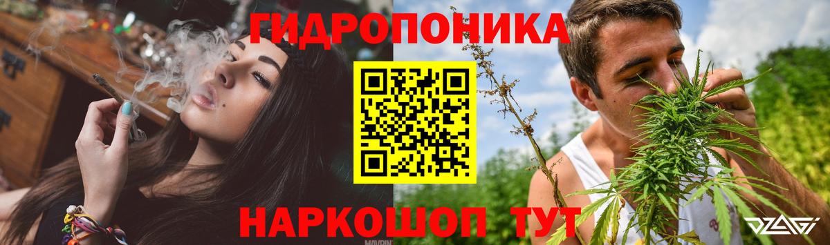 Гай  Конопля OG Kush  Марихуана сатива  Вход с VPN 