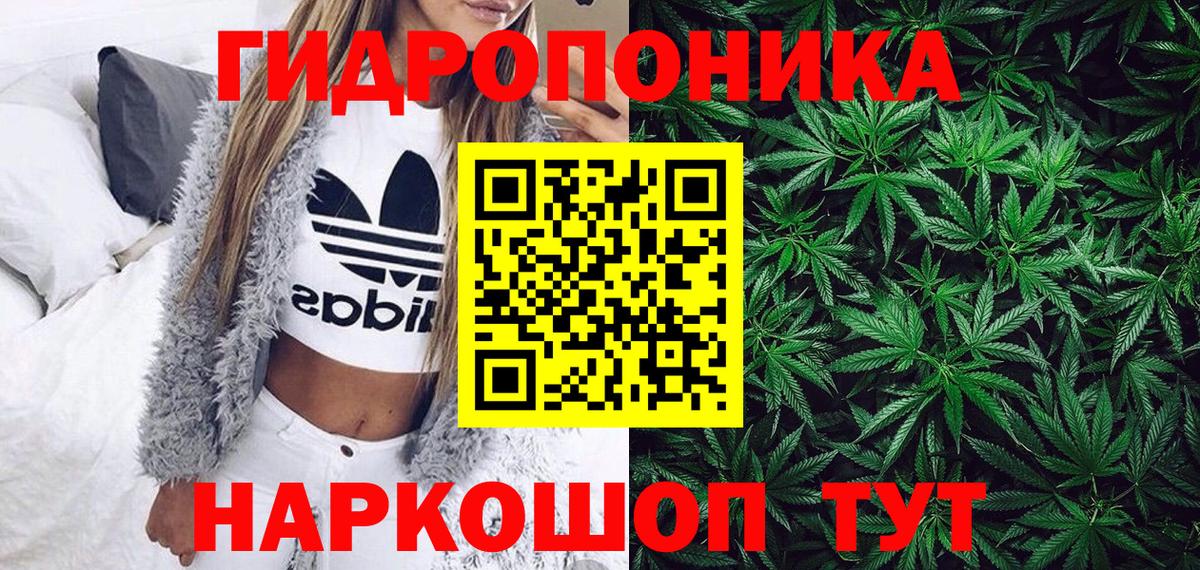 Бошки марихуана сатива Гай